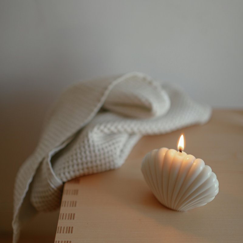 shell candle